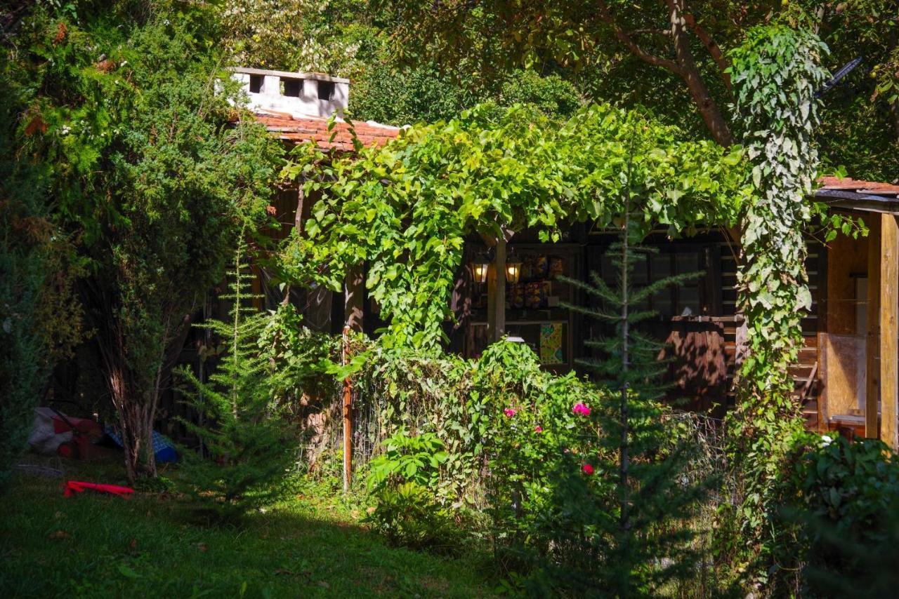Topolitsa Рибарник Forest Мagic מראה חיצוני תמונה